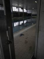 濡れた水泳帽、7年後に暴かれた母の真実
